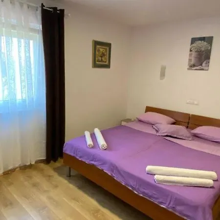 Filtea Врси