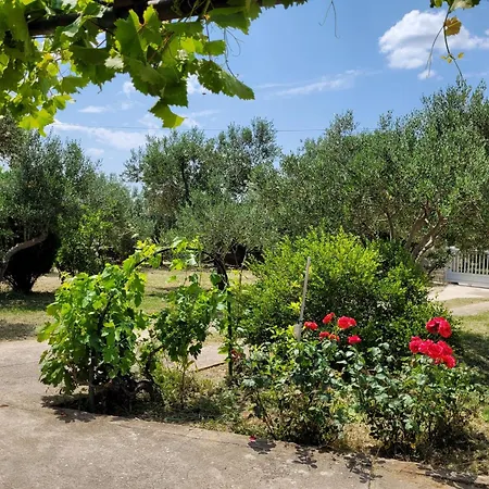 Aparthotel Filtea *